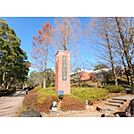 東京薬科大学（1819m）