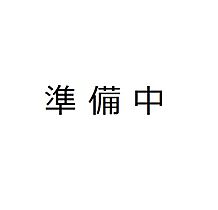 プレミスト高尾サクラシティ　（1413） 1413 ｜ 東京都八王子市東浅川町549-61413（賃貸マンション3LDK・14階・71.74㎡） その3