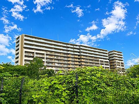 地下鉄鶴見緑地駅徒歩4分の立地です。便利な立地ながら、周辺には緑をたっぷりと感じることができる花博記念公園鶴見緑地などがあり、子育て環境にもおすすめです。