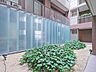 その他：建物中央には植栽を配した中庭空間が設けられています。ガラスパネルと緑が調和し、共用部に開放感をもたらします。