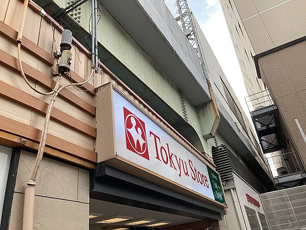 画像13:東急ストア 高円寺店（246m）