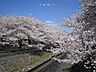 周辺：善福寺川緑地（350m）