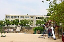 【小学校】生駒市立生駒小学校まで564ｍ
