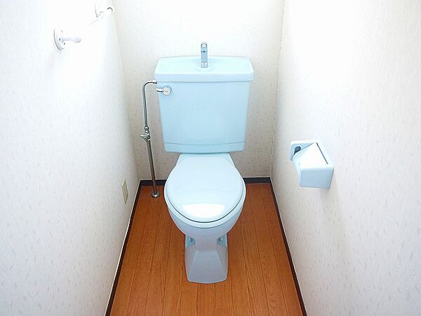 画像25:落ち着いた色調のトイレです