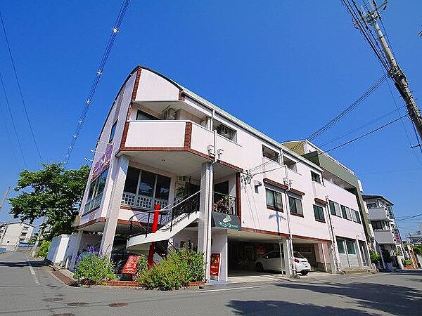 奈良県天理市田井庄町(賃貸マンション1K・3階・29.00㎡)の写真 その1