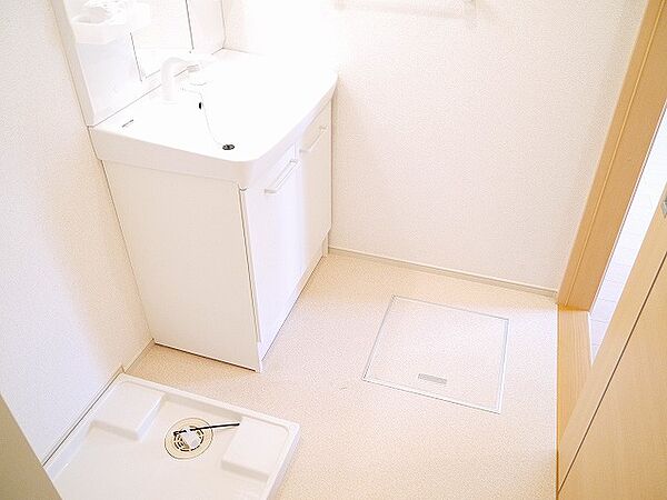 画像29:ゆったりとスペースのある洗面所