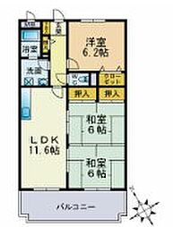 シャトレ和白 2階/203