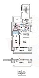 スプランディッド梅田WEST 7階/-