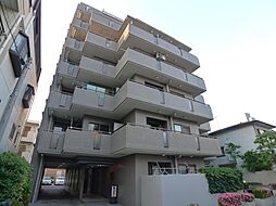 コスモ亀有サウスコート 502