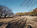 鶴間公園　約6...