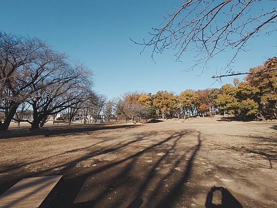 鶴間公園　約6...