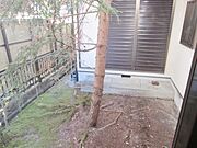 中庭