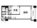 セゾンドゥブランシェ南3条7階6.0万円