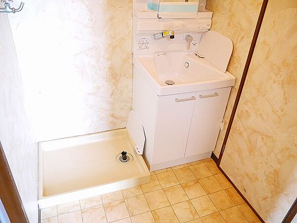 画像8:広い洗面スペース