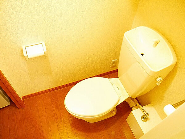 画像14:ゆったりとした空間のトイレです