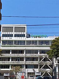 福岡中央病院（534m）