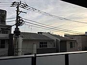 2025年11月8日撮影