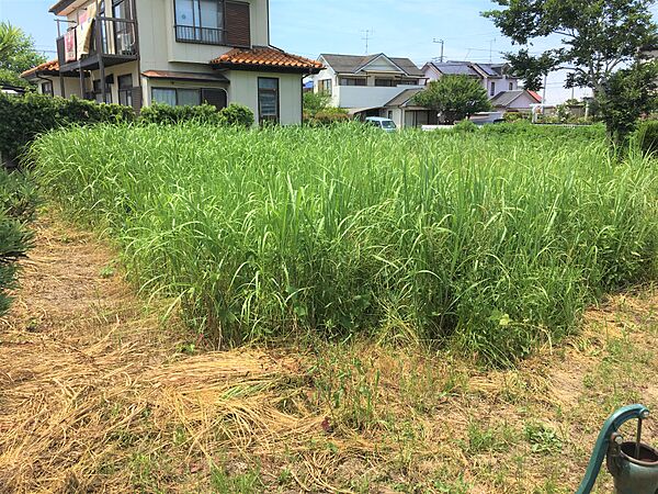 その他を拡大表示