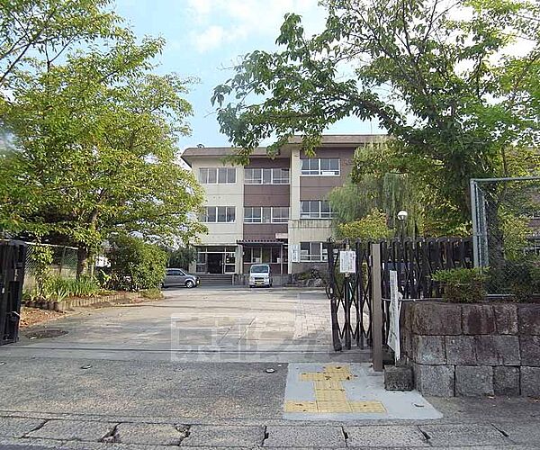 画像30:千代川小学校まで230m 自然豊かな環境に恵まれた小学校。