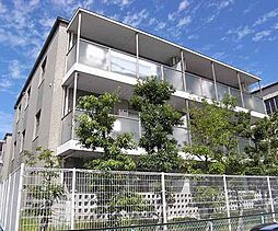 Ｐｉｎｅ　Ｇａｒｄｅｎ