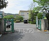 皇子山中学校まで243m