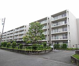 7 / 9