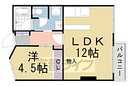 桂グランドハイツ 1LDKの間取図画像