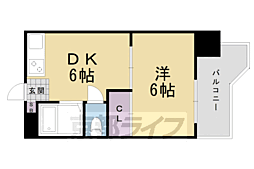 グレース桂 4階/-