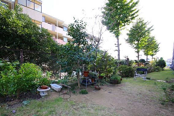 敷地内には植栽...