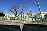 周辺：小学校 800m 坂戸小学校