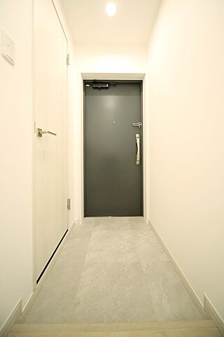 玄関 プラーティノ多摩川鵜の木弐番館 3階/-