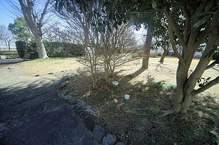 広々とした敷地内には、中庭があります♪