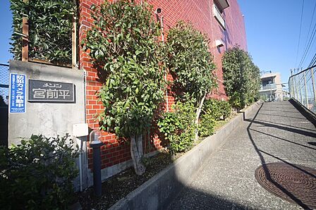 マンションの敷地内には、植栽が施されております♪