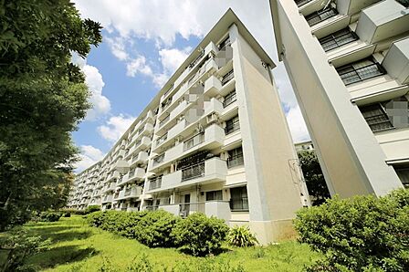 マンションの敷地内には、植栽が施されております♪