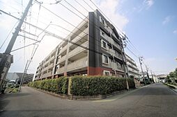 サンアリーナ調布