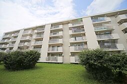 多摩川住宅ハの5号棟