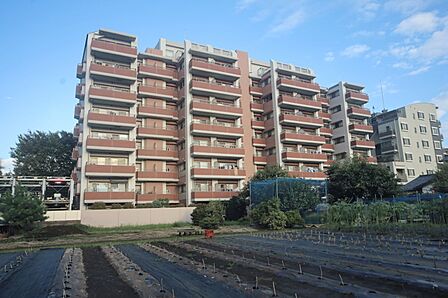 ペットと暮らせるマンションです♪ 両面バルコニーで、眺望良好!