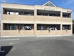 ガーベラ・テトラ