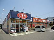 その他「ドラッグセガミまで1500m」