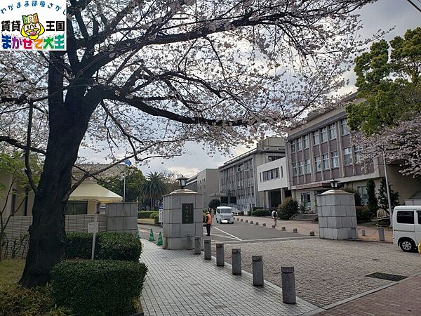 画像23:国立長崎大学 1575m