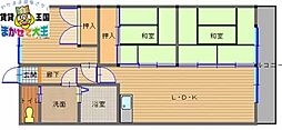 ドリームハイツ元村 2階/-