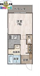 メゾンカルム ワンルームの間取図画像