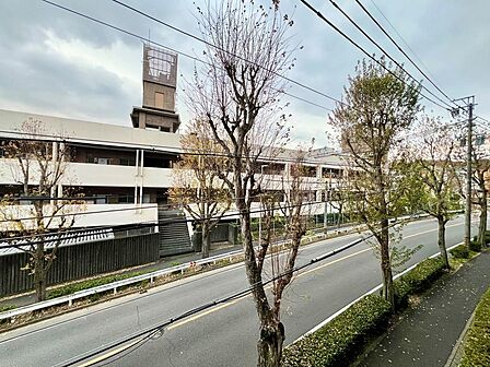 広々とした通りに面し、陽光と開放感を享受する立地