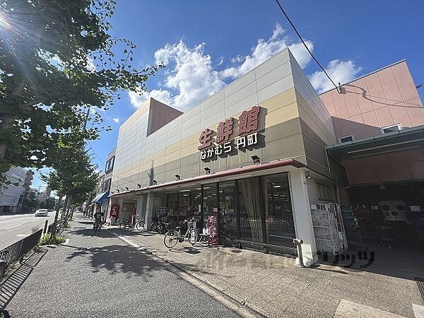 画像19:生鮮館なかむら　円町店まで320メートル