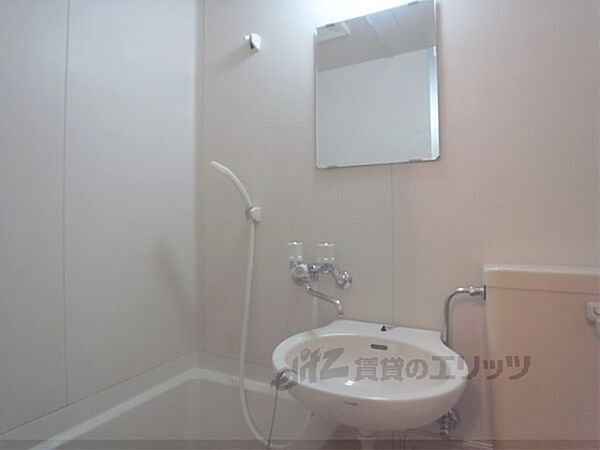 画像24:鏡・シャワー・洗面台