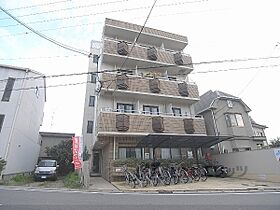 京都府京都市右京区太秦桂木町（賃貸マンション1K・1階・17.14㎡） その1