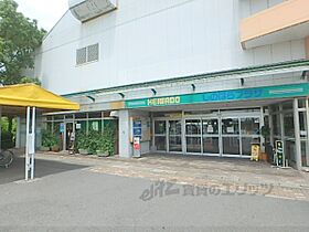 ファミリエ ？101 ｜ 滋賀県近江八幡市江頭町（賃貸アパート1LDK・1階・50.01㎡） その24