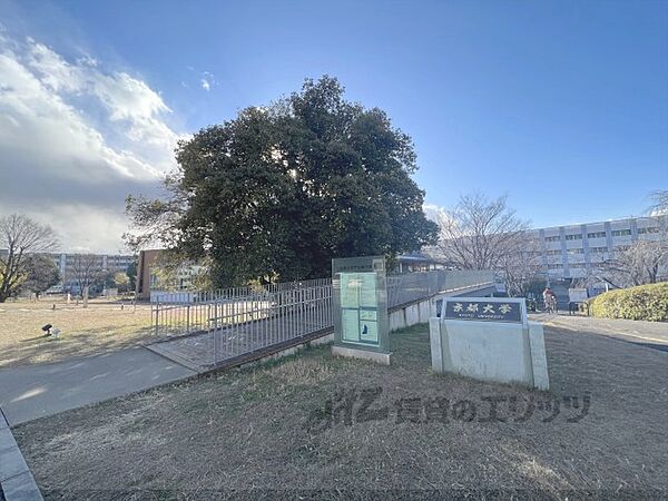 京都府京都市伏見区醍醐東合場町(賃貸アパート1K・2階・20.67㎡)の写真 その12