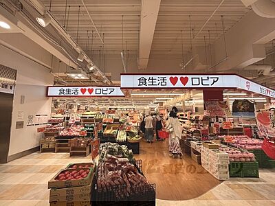 周辺：ロピア　京都ヨドバシ店まで1160メートル