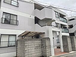 3 / 16